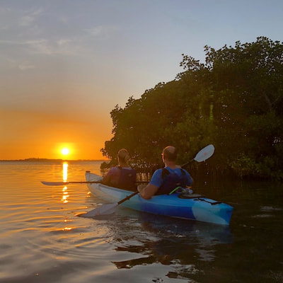 sunset clearwater kayaking